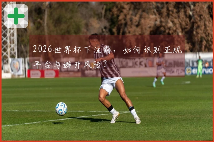 2026世界杯下注前，如何识别正规平台与避开风险？