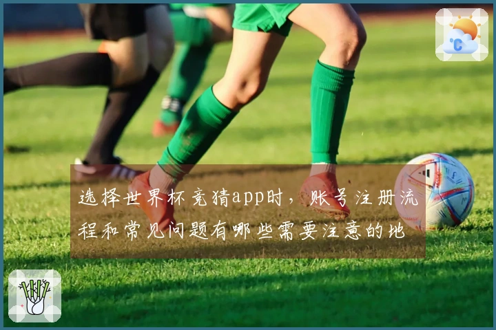 选择世界杯竞猜app时，账号注册流程和常见问题有哪些需要注意的地方